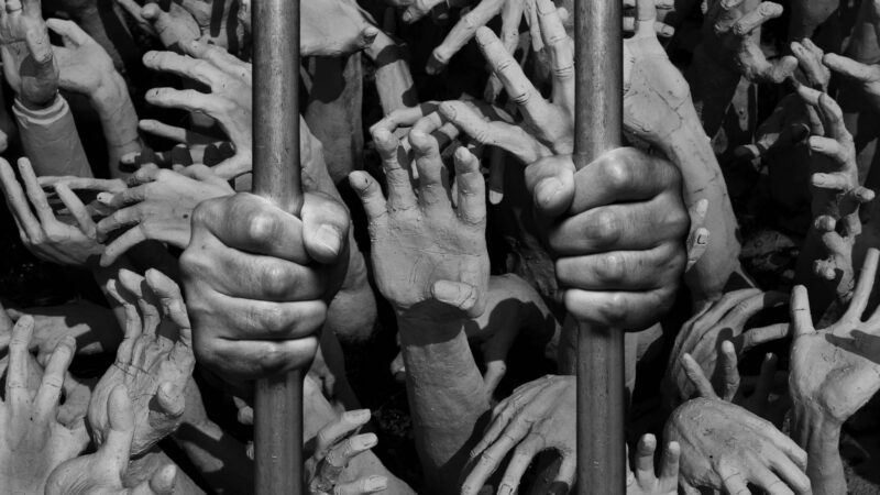 Turkey's Democracy Under Fire: Elections, Kurds, and Trustees